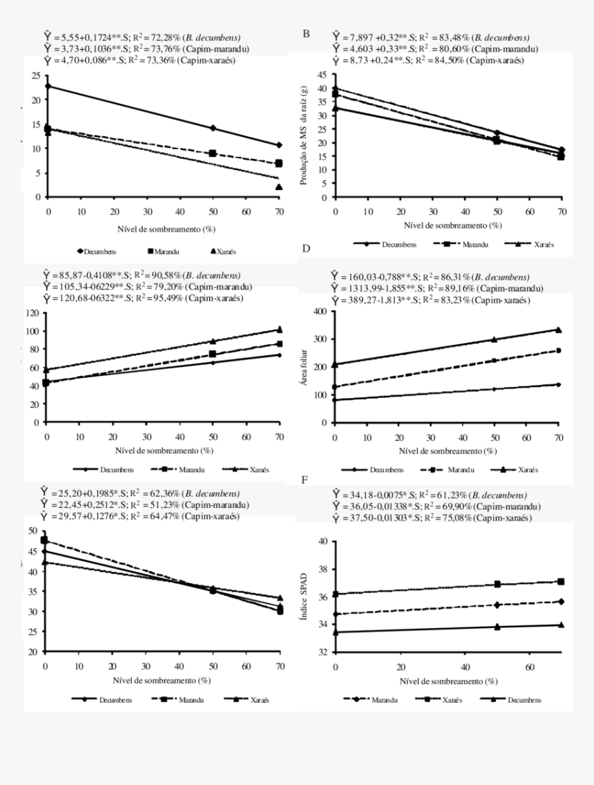 Document, HD Png Download