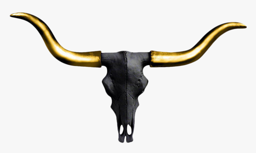 Texas Longhorn English Longhorn Wall Decal Color - Texas Longhorn, HD Png Download