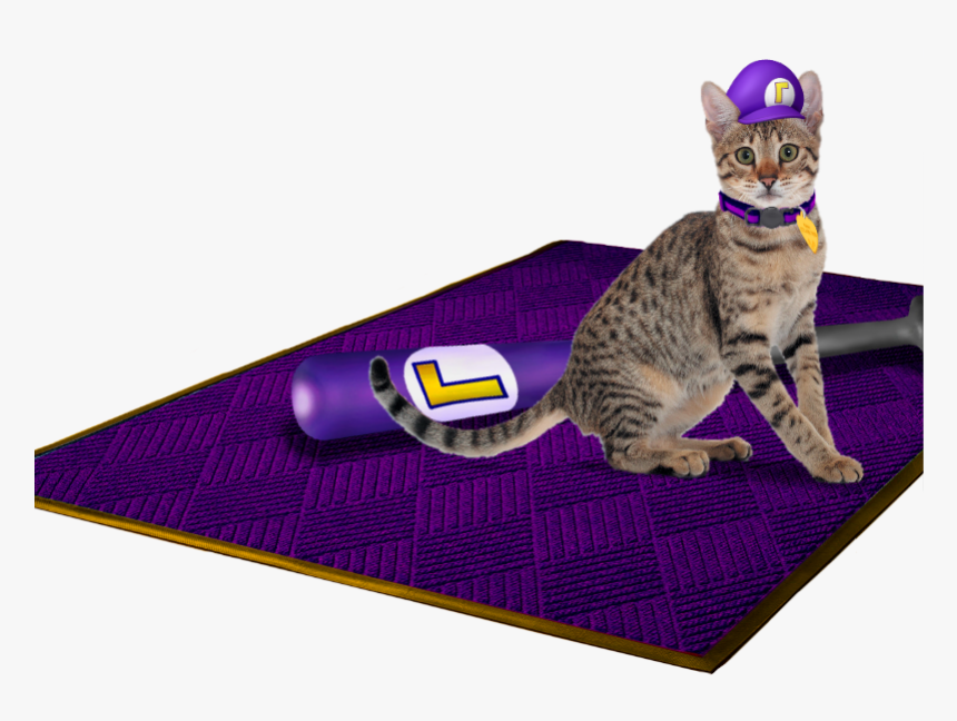 Waluigi’s Hat On Waluigi’s Cat Next Waluigi’s Bat On - Cat Grabs Treat, HD Png Download