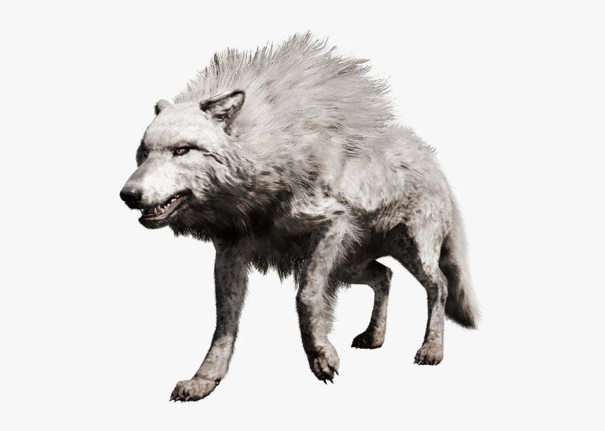 Far Cry Primal Direwolf, HD Png Download