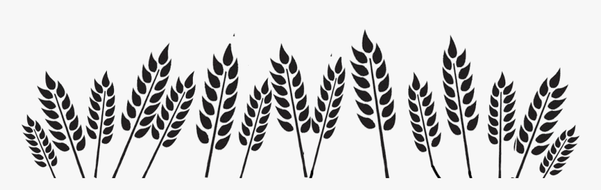 Black And White Wheat Png, Transparent Png