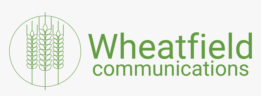 Oval, HD Png Download