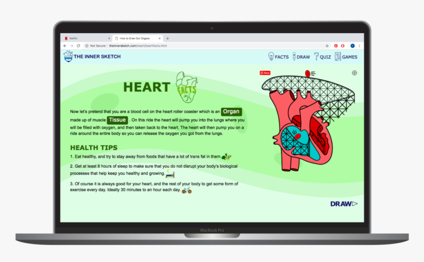Innner Sketch Heart Facts , Png Download - Led-backlit Lcd Display, Transparent Png