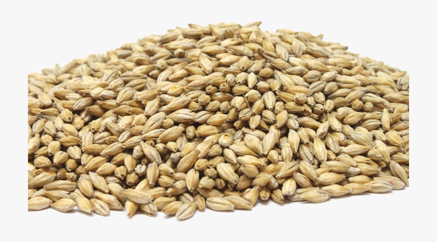 Dinkel Wheat, HD Png Download