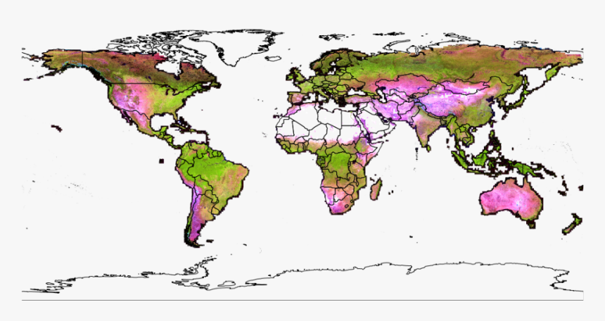 Global Land Analysis & Discovery Group - Ficus Carica Native Range, HD Png Download