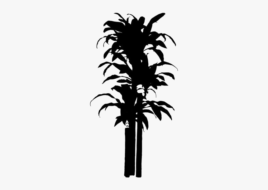 Transparent Propagate House Plant Png Image - Silhouette, Png Download