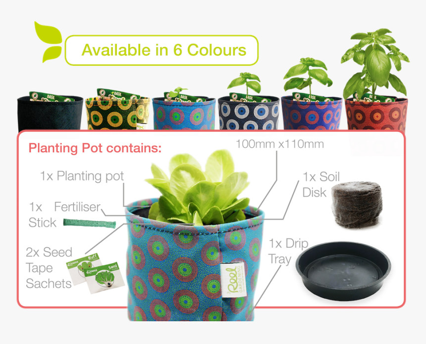 Transparent Indoor Plant Png - Food Decomposing Flower Pot, Png Download