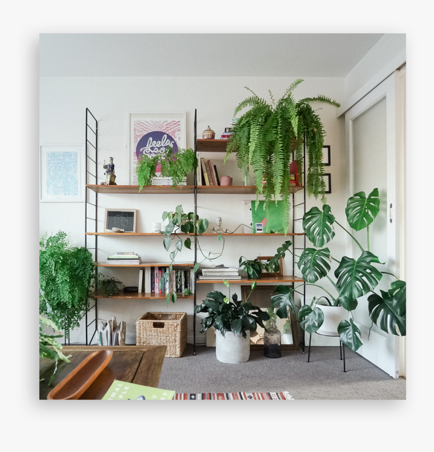 Shelf, HD Png Download