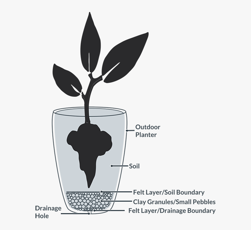 Planters With Drainage, HD Png Download