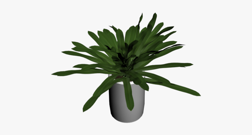 Houseplant, HD Png Download