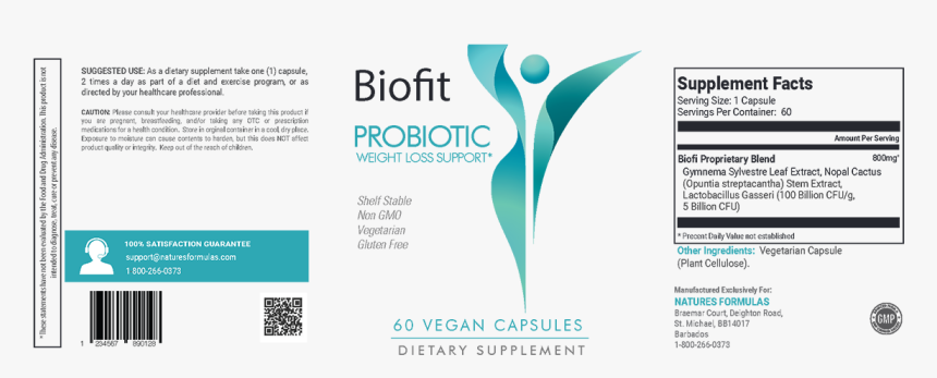 Nopal Png , Png Download - Online Advertising, Transparent Png