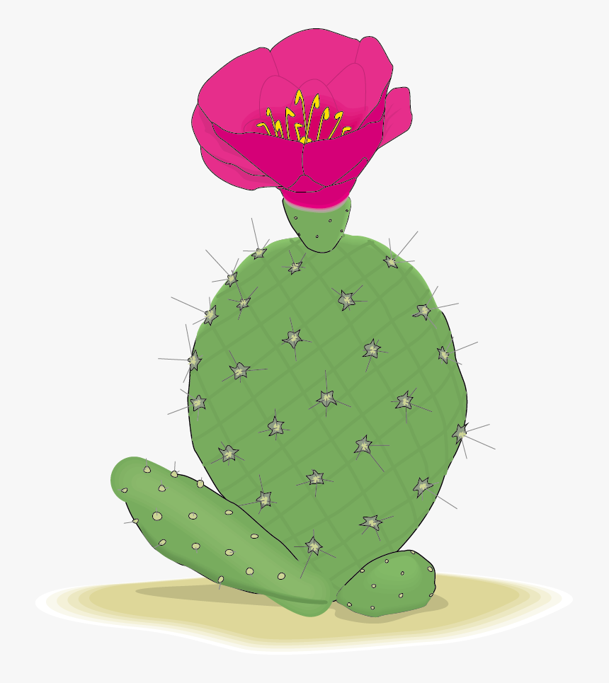 Cactaceae Clip Art - Cactus, HD Png Download