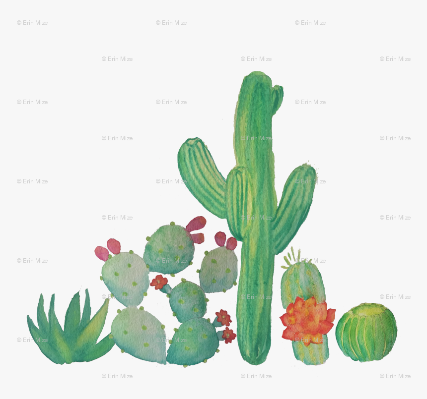 Watercolor Cactus Clip Art, HD Png Download , Transparent Png Image
