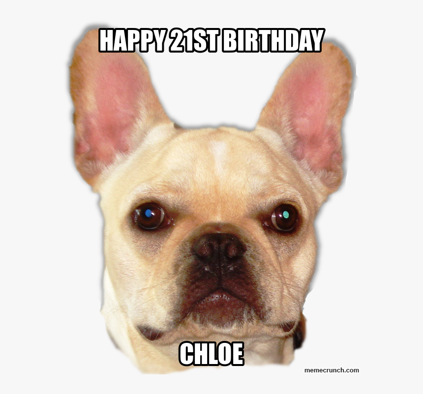 Happy 21st Birthday - Happy Birthday Ginger Cunt, HD Png Download