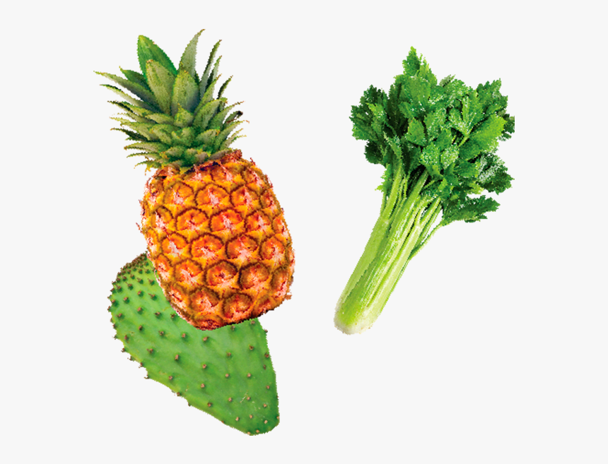 Piña Apio Y Nopal - Pineapple, HD Png Download