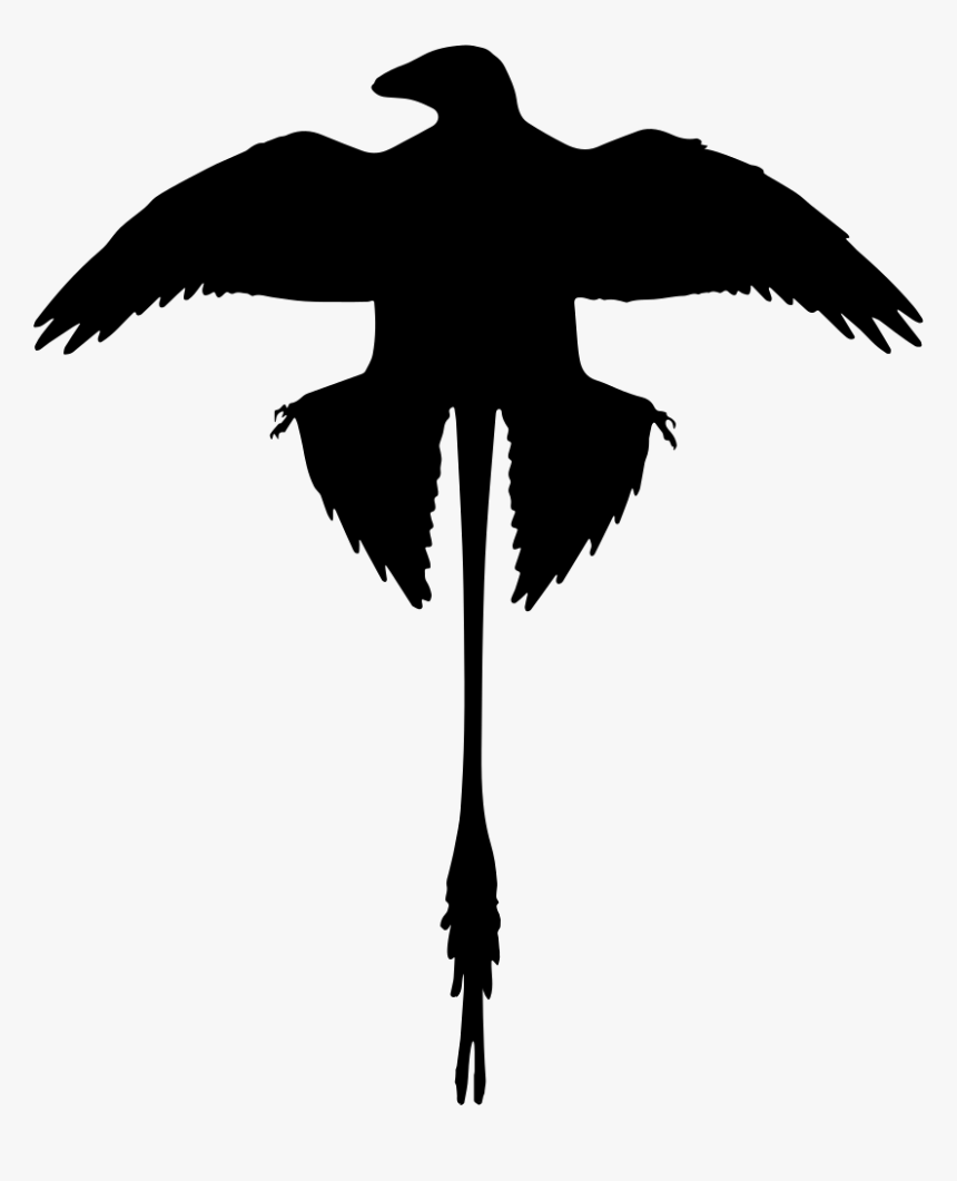 Microraptor Shape Of Extinguished Dinosaur - Microraptor Wings, HD Png Download