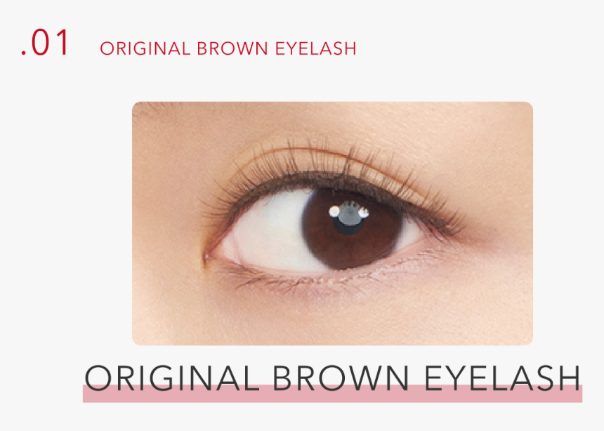 01 Original Brown Eyelash - Eye Shadow, HD Png Download