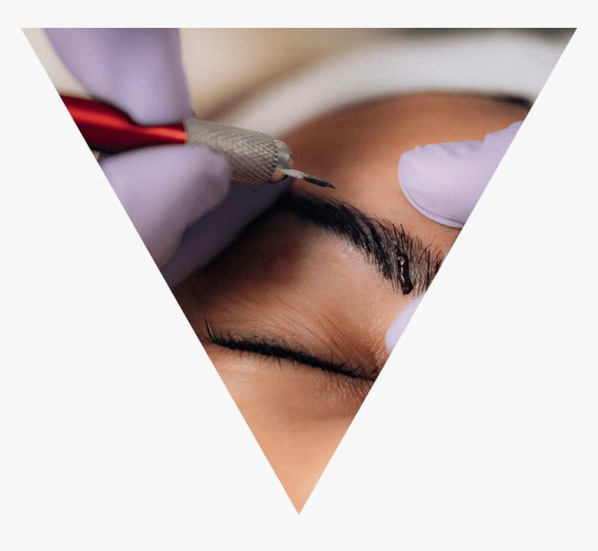 Close-up, HD Png Download