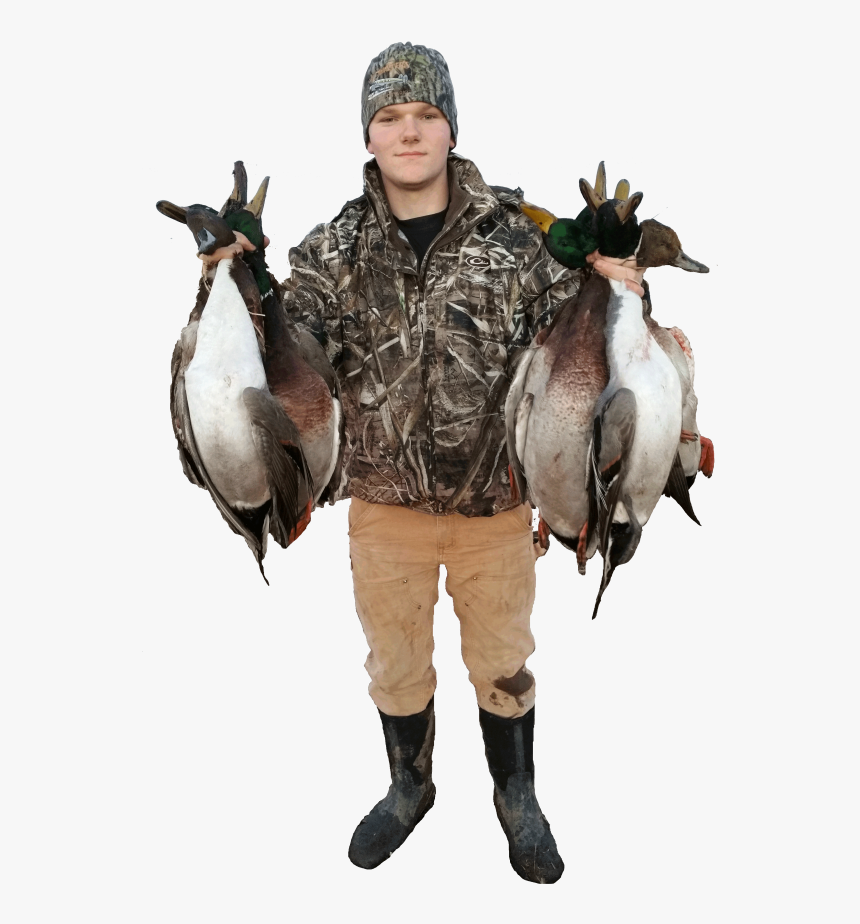 Waterfowl Hunting Png, Transparent Png