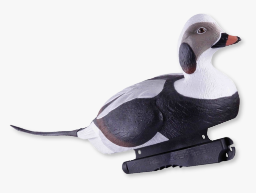 Home / Decoys / Duck Hunting Decoys - Duck, HD Png Download