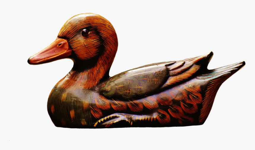 Seaduck - Pato De Madera Png, Transparent Png