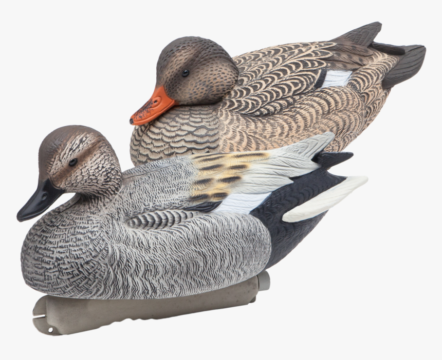 Floating Gadwall Duck Hunting Decoys From Final Approach - Gadwall Decoys, HD Png Download