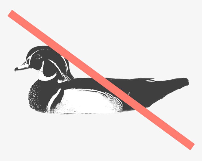 Transparent Duck Hunt Duck Png - Wood Duck, Png Download