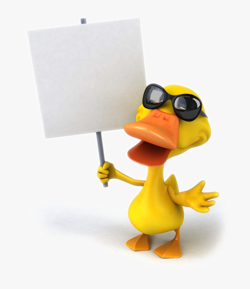 Mallard Drawing Goose Hunting, HD Png Download