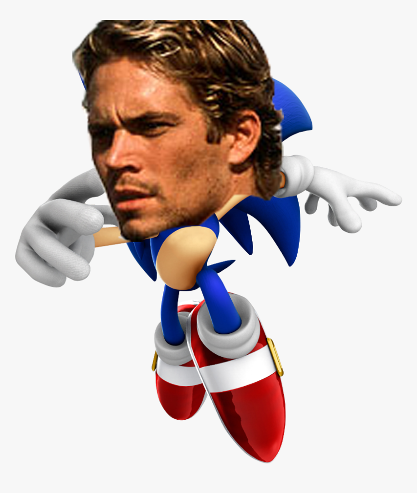 Paul Walker The Hedgehog, HD Png Download