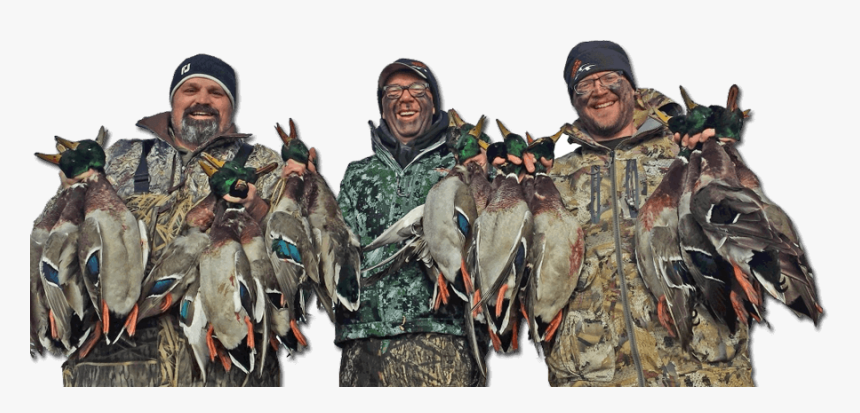 Mallard, HD Png Download