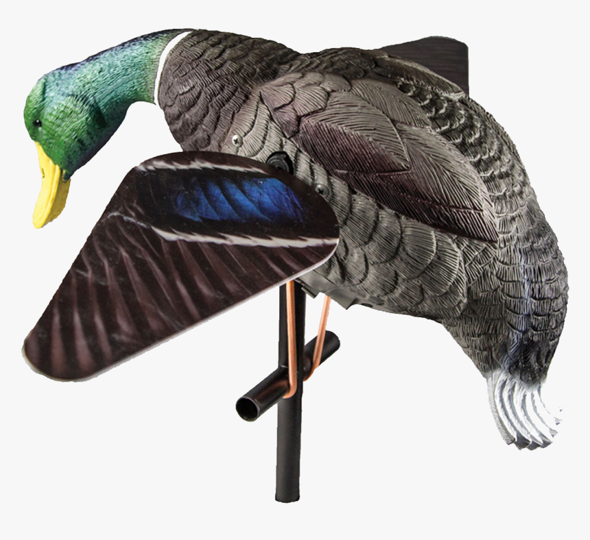 Ördek Mühresi, HD Png Download