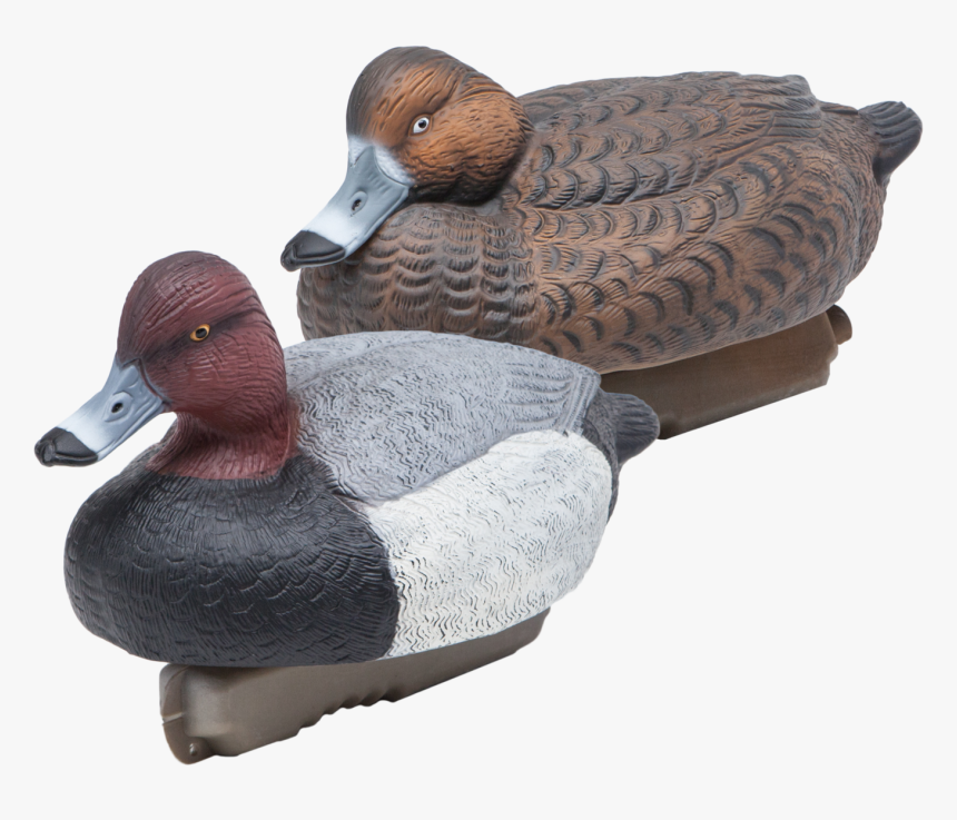 Floating Redheads Duck Hunting Decoys From Final Approach - Redhead, HD Png Download