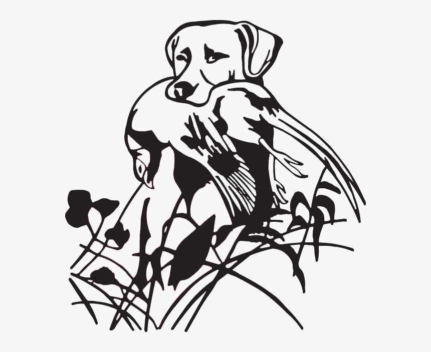 Duck Goose Labrador Retriever Hunting Dog Waterfowl - Duck Hunting Dog Clip Art, HD Png Download