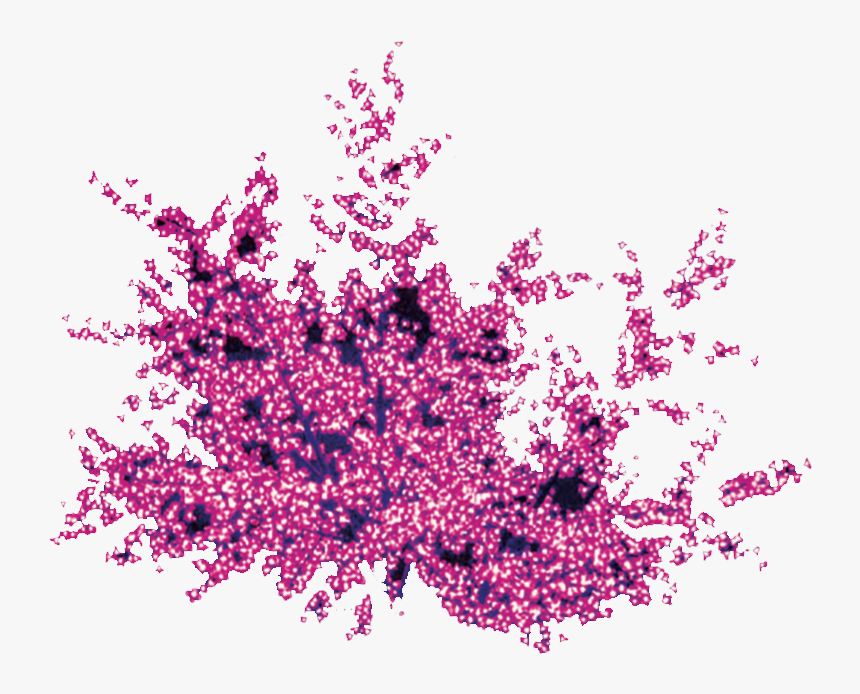 Tree Lights Color - Illustration, HD Png Download