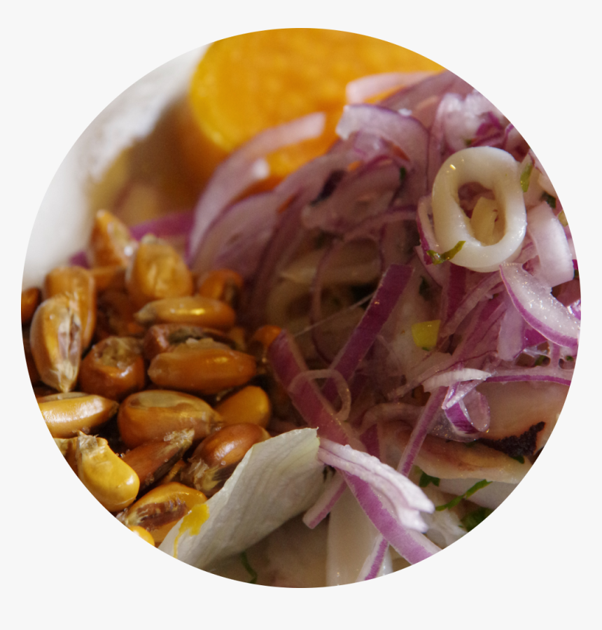 Round Ceviche Web - Red Onion, HD Png Download