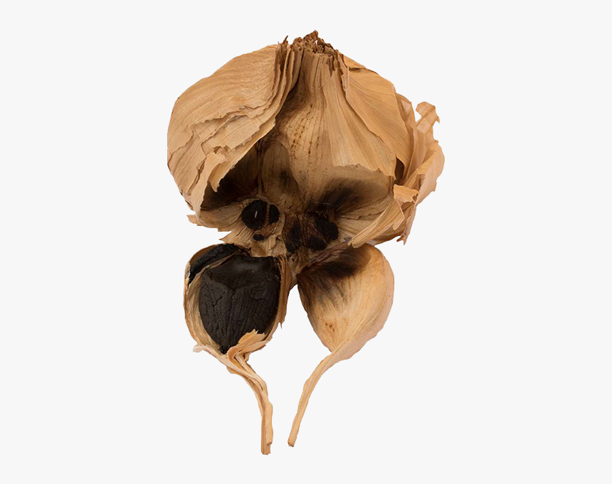 Black Garlic Bulbs 3 - Bun, HD Png Download