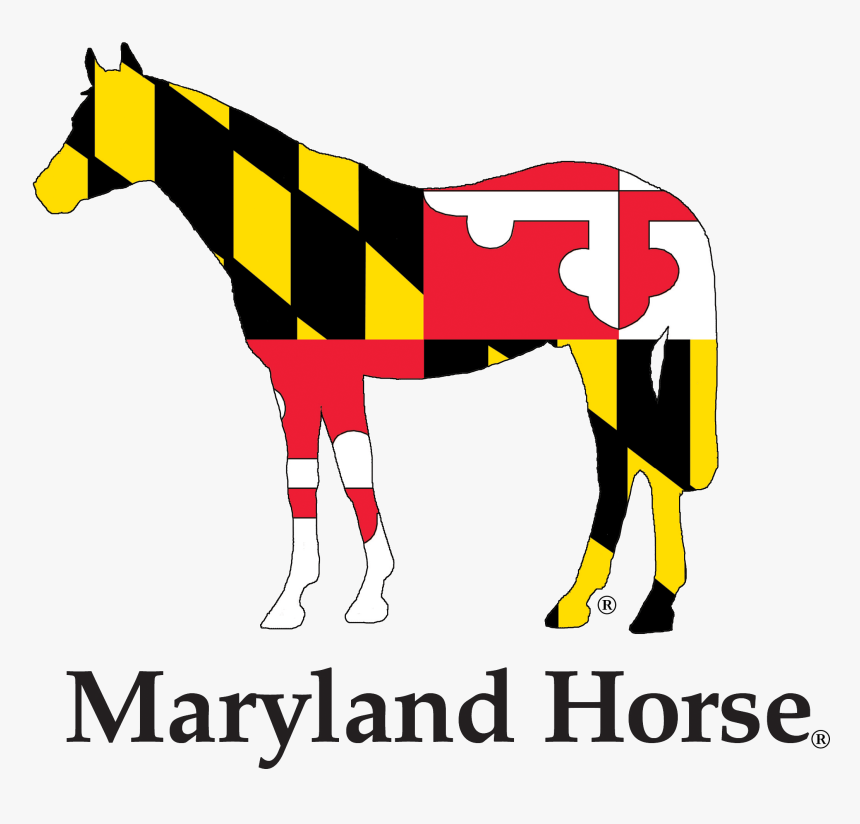 Transparent Maryland Flag Png - Free Christmas Party Flyer Templates, Png Download