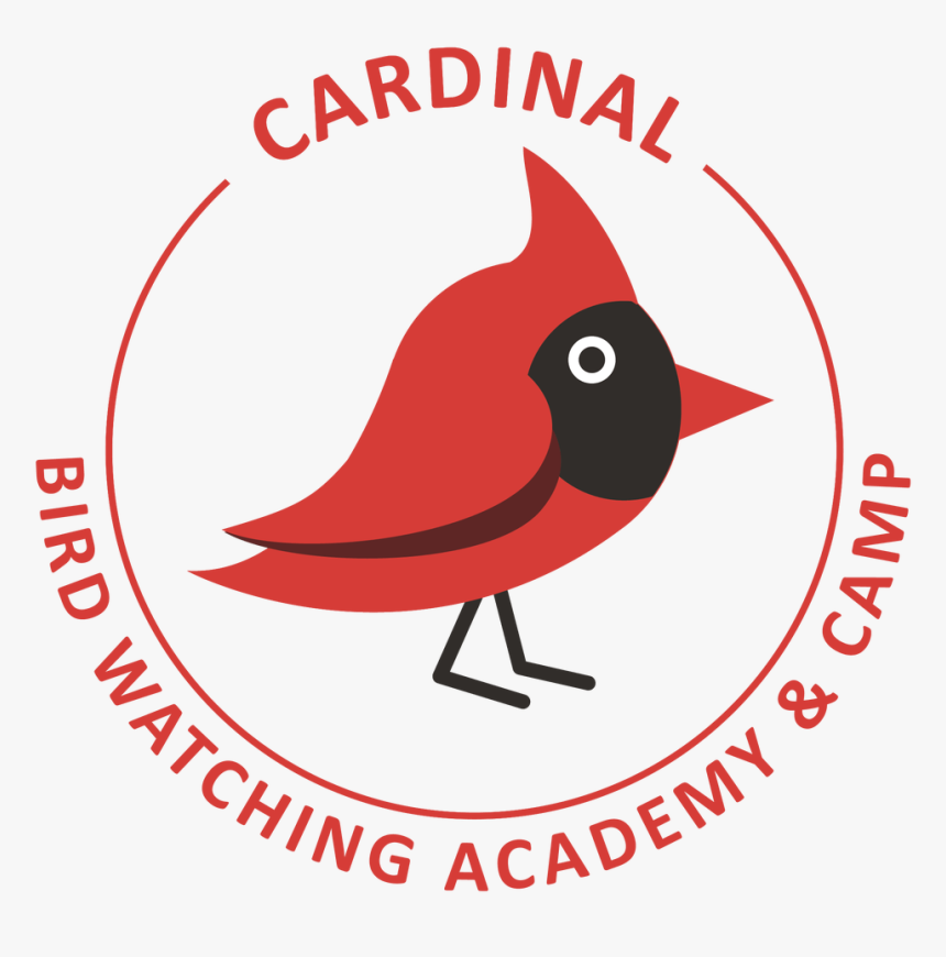 Transparent Cardinals Png - Map, Png Download