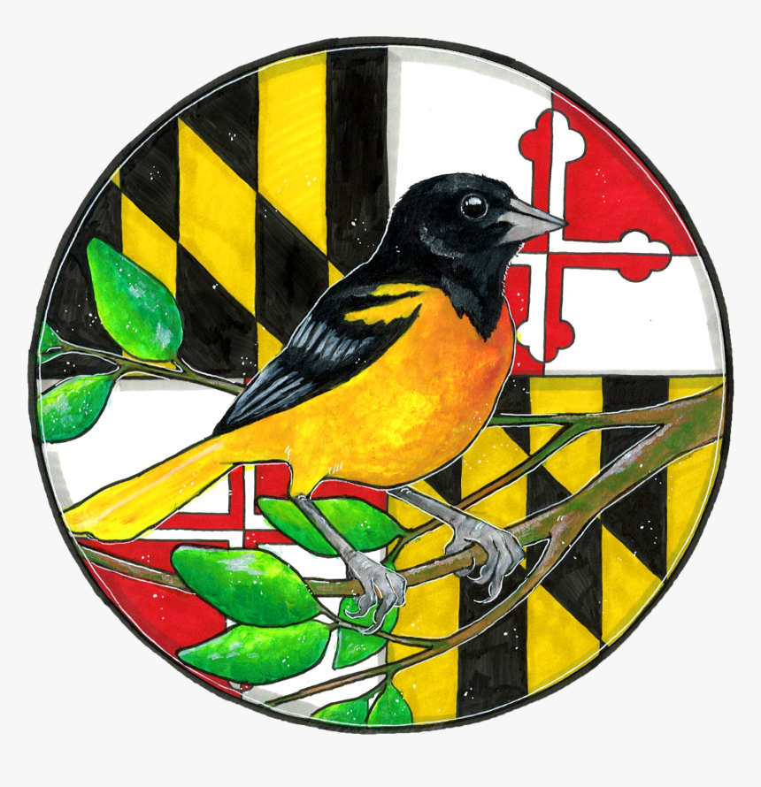 Finch, HD Png Download