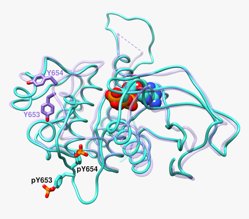 Illustration, HD Png Download