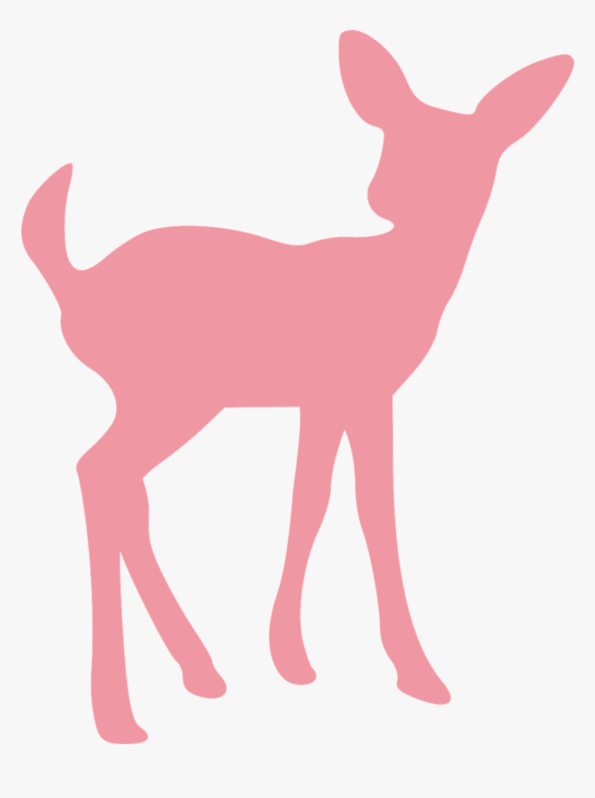 Deer, Fawn, Wildlife, Animal, Mammal, Young, Baby, - Fawn Silhouette, HD Png Download