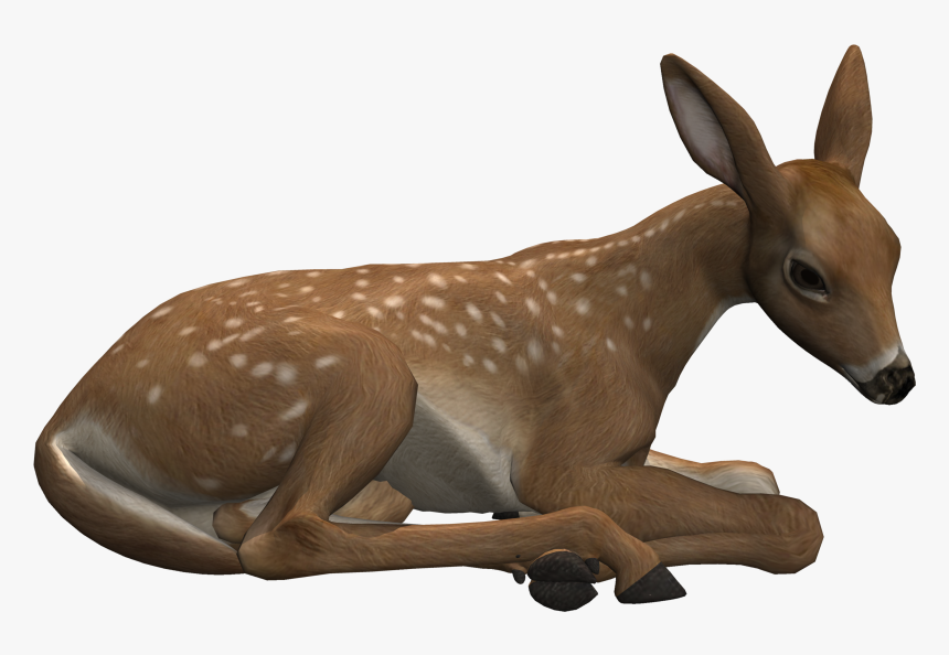 Deer Lying Down Png, Transparent Png