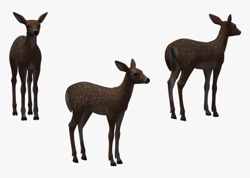 White-tailed Deer Elk Clip Art - Herd, HD Png Download