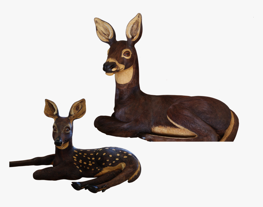 Roe Deer, HD Png Download