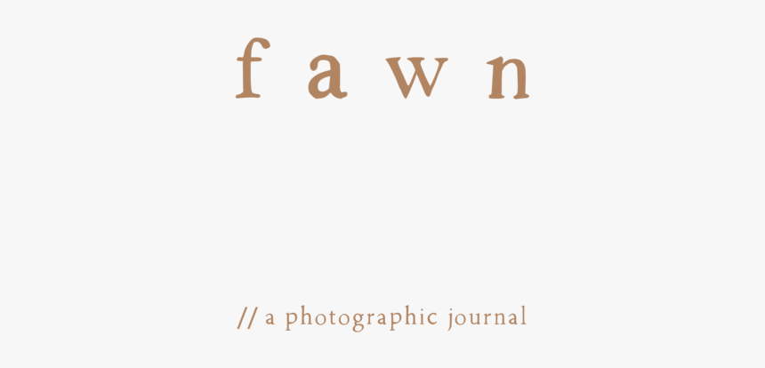 Fawn-01 - Parallel, HD Png Download