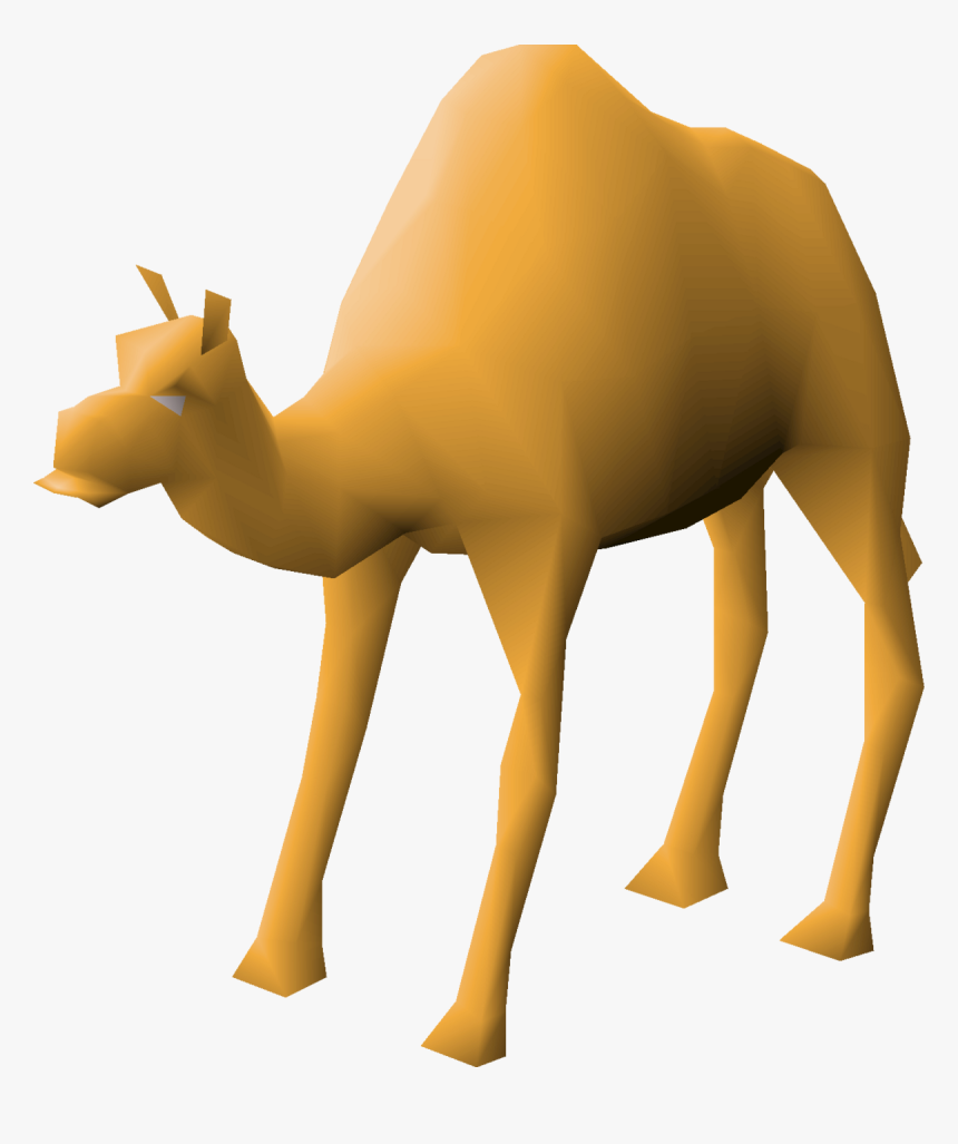 Arabian Camel, HD Png Download