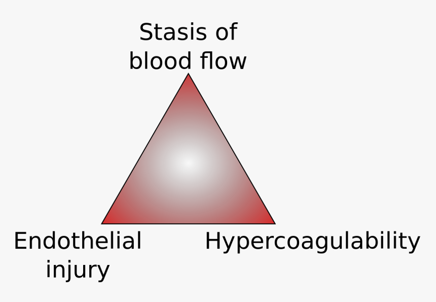 Transparent Blood Trail Png - Virchow's Triad, Png Download