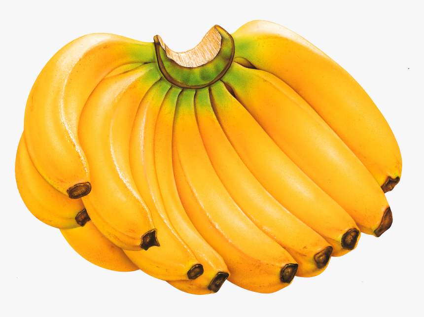 Fruits Banana Png, Transparent Png