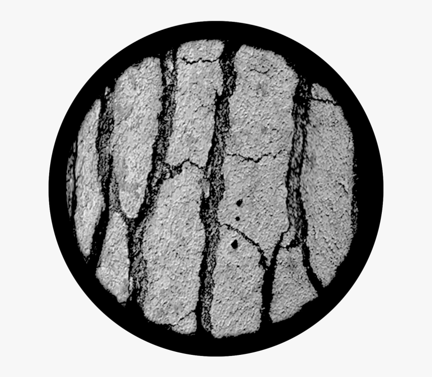 Tree Bark - Cobblestone - Circle, HD Png Download