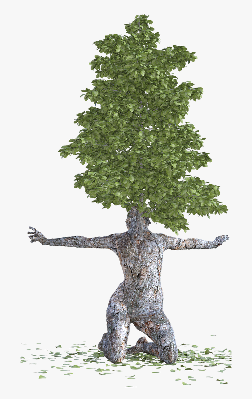 Tree Bark Woman, HD Png Download